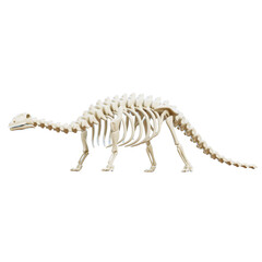 3D dinosaur skeleton is a three-dimensional visual representation of dinosaur bones. This icon is often used to represent prehistoric, paleontological, or evolutionary concepts.