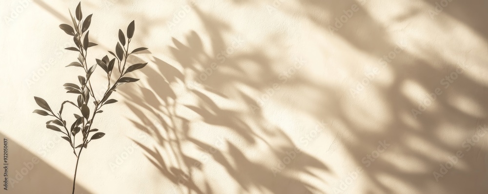 Canvas Prints Green branch casting shadows on a minimalist wall