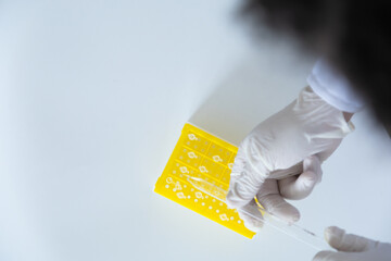 Production line pharmaceutical industry. Manufacturing of drugs and medications, pharmaceuticals.