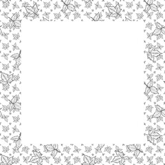 Hand drawn frames elegant design set contourn maple leaves. Black and white doodle style drawing. White background.