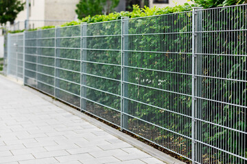 Fence with Hedge Fence, Modern Metal Wire Mesh Fence Panels with Green Hedges. Hedging Plants as Garden Fence.