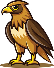 A hawk stands on the ground 