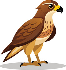 A hawk stands on the ground 