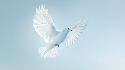 Fototapeta premium White Dove in Mid-Flight: Symbol of Peace and Purity