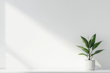 A minimalist workspace with a single, vibrant green plant against a white wall. 