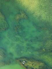 Aerial view of two people swimming in the clear lake with the underwater vegetation