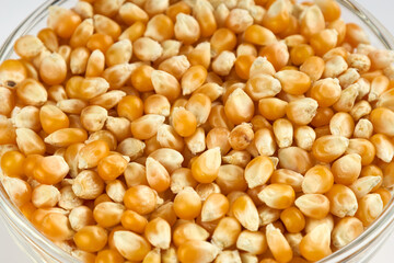 raw popcorn or corn in a bowl on white background