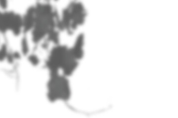 Realistic tropical leaves and branches shadows on transparent checkered background, natural overlay effect, isolated light and shadow layout, botanical shadow design