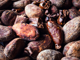 Cocoa beans background, close-up of cocoa bean,  dried broken cocoa beans