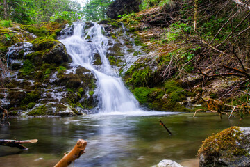 Waterfall in the forest. Mountain river in the forest. Beautiful waterfall in the forest.