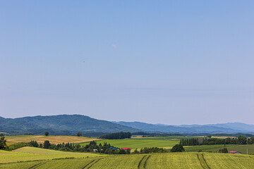 Obraz premium 田園風景