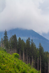 Beautiful mountain landscape with clouds and fog. 