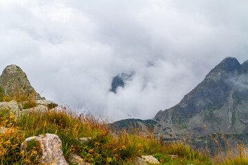 Beautiful mountain landscape with clouds and fog. 