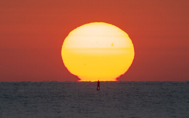 Golden Sunrise Reflected on the Sea as a Surfer Passes By