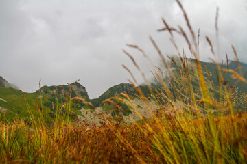 Beautiful mountain landscape with clouds and fog. 