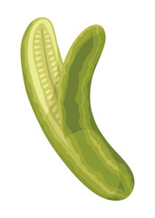 Homemade pickled cucumber. Clip-art of marinated food for packaging, label, menu, signboard or showcase. Fermented veggies, crunch gherkin with salt. Healthy vegetarian food