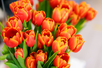 A bouquet of orange tulips with green leaves