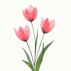 Naklejka premium Watercolor Pink Tulips on White Background