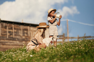 Drinking the milk. Mother and daughter are together on the farm with goat