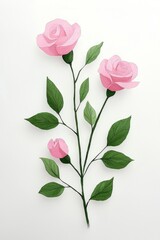 Fototapeta premium Pink Rose with Green Leaves on White Background