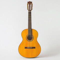 a acoustic guitar