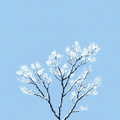 Frosty Tree Branches Against a Blue Sky