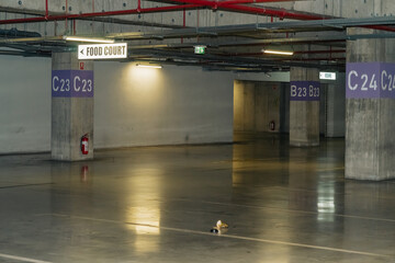 Parking lot with overhead dim light