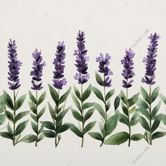 Naklejka premium Watercolor Lavender Border Illustration