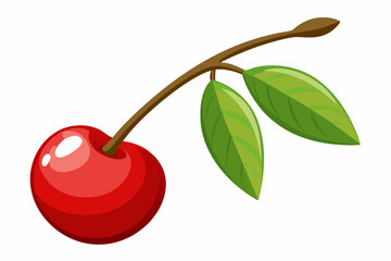 Cherry with leaf on white background. cherry on a branch