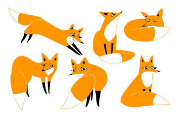 Set of red foxes. Vector illustration with wild animals