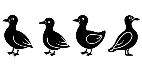 Set of Auklet icons silhouette vector art style illustration
