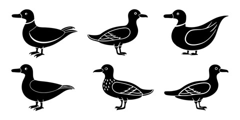 Set of Auklet icons silhouette vector art style illustration
