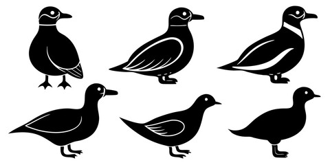 Set of Auklet icons silhouette vector art style illustration
