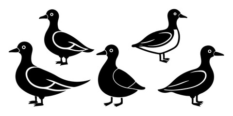 Set of Auklet icons silhouette vector art style illustration
