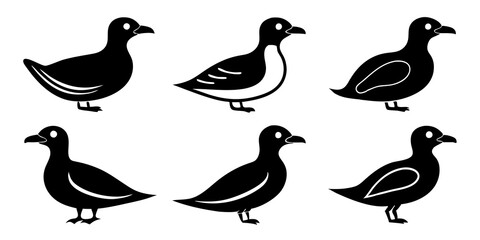 Set of Auklet icons silhouette vector art style illustration
