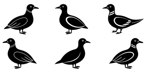 Set of Auklet icons silhouette vector art style illustration

