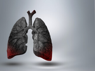 Lungs. Grey banner template with grey background and glowing red color. Healthcare  Medicine, COVID-19 Virtual Human Lungs. Innovation  Medical Technology.