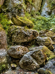 Image from Cheile Butii gorge, near Campu lui Neag, Hunedoara,  Romania