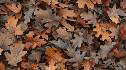Close up of dry fall leaves texture background in orange, brown and yellow color tones.
