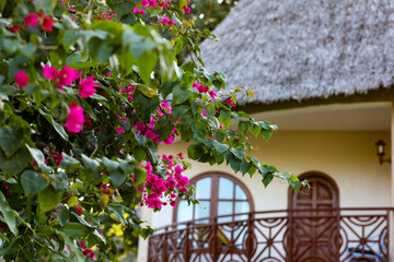 Kenya Africa © Magdalena