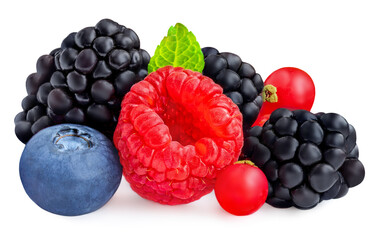 Mix of Berries isolated. Fresh Blueberry, blackberry, Currant berry, raspberry with leaves on white background. Package design element, closeup.