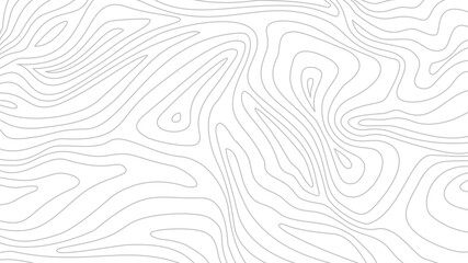 Contour background. Topographic map background. Topographic contour map background. Abstract wavy lines background. Background with topographic contours.