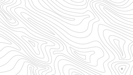 Contour background. Topographic map background. Topographic contour map background. Abstract wavy lines background. Background with topographic contours.