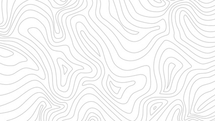 Contour background. Topographic map background. Topographic contour map background. Abstract wavy lines background. Background with topographic contours.