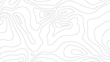 Fototapeta premium Contour background. Topographic map background. Topographic contour map background. Abstract wavy lines background. Background with topographic contours.