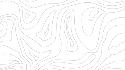 Fototapeta premium Contour background. Topographic map background. Topographic contour map background. Abstract wavy lines background. Background with topographic contours.