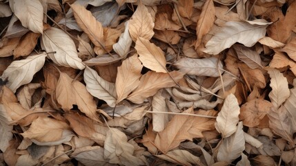 A picturesque autumn scene featuring withered fallen leaves, capturing the essence of the fall season and natural decay