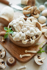 Assortment of various raw mushrooms on gray concrete background.