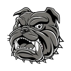 Bulldog head - angry vector image design. 