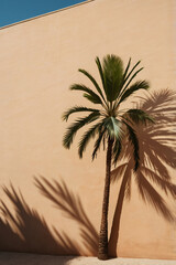Minimal product placement background with palm shadow on concrete wall. Luxury interior aesthetic.